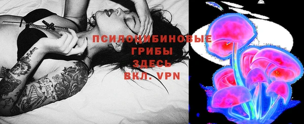 таблы Губаха