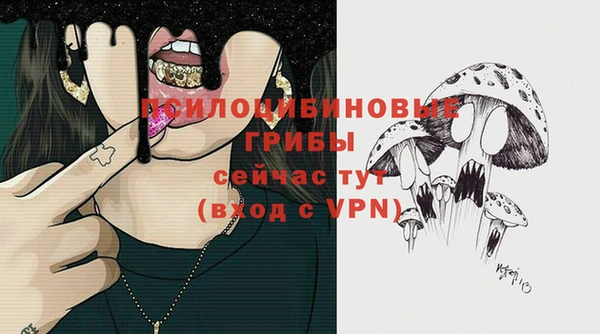apvp Покровск